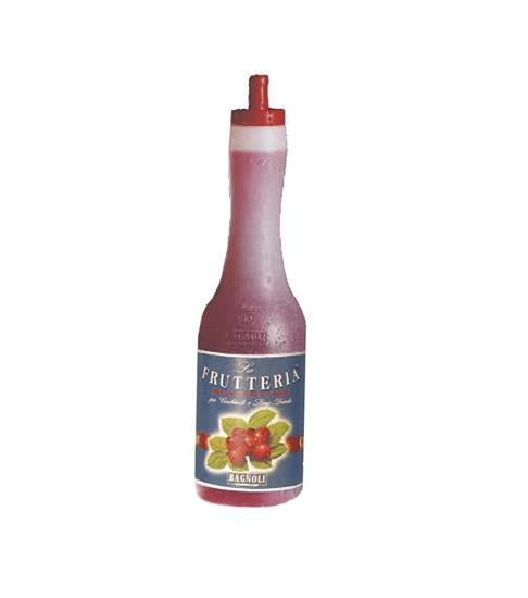 FRUTTERIA CRANBERRY SPEED BOTTLELT1