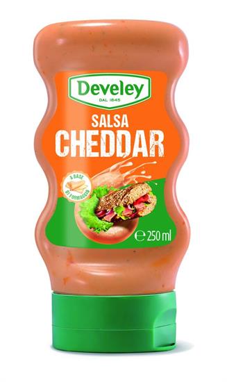 SALSA CHEDDAR DEVELEY ML250