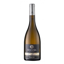 VINO HO PANDOSIA PECORELLO BIANCO SPADAFORA CL75