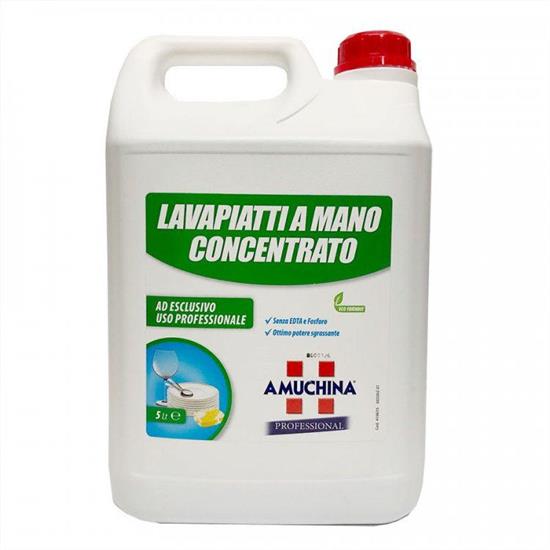 AMUCHINA LAVAPIATTI MANO CONC. LT5