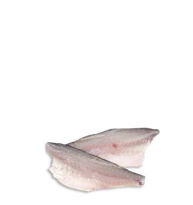 FILETTO DI BRANZINO 120/160 (KG3,5)