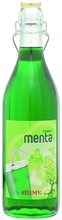 SCIROPPO DI MENTA FIUME BTG GR1300