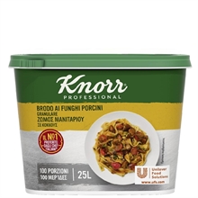 BRODO FUNGHI PORCINI KNORR UNILEVER GR500