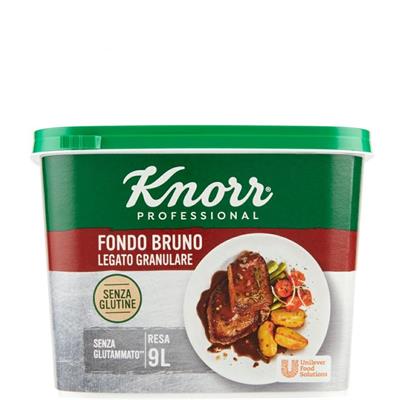 FONDO BRUNO GRANULARE S/GLUTINE KNORR UNILEVER GR500